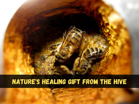 Unlocking the Power of Propolis: Nature's Healing Gift from the Hive