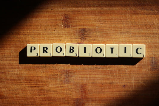 Unlocking the Power of Probiotics: A Spotlight on Bacillus Coagulans